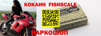 дмт Гай