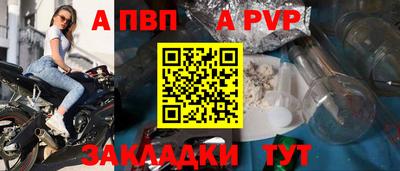 дмт Гай
