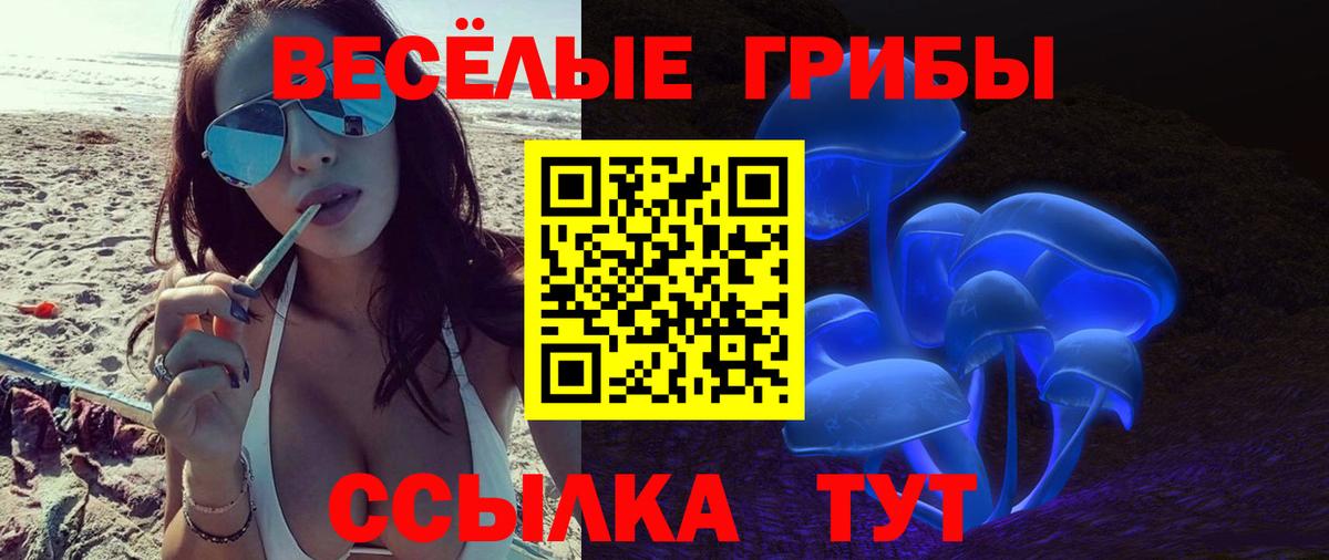 Назарово  Галлюциногенные грибы прущие грибы  Вход с VPN 