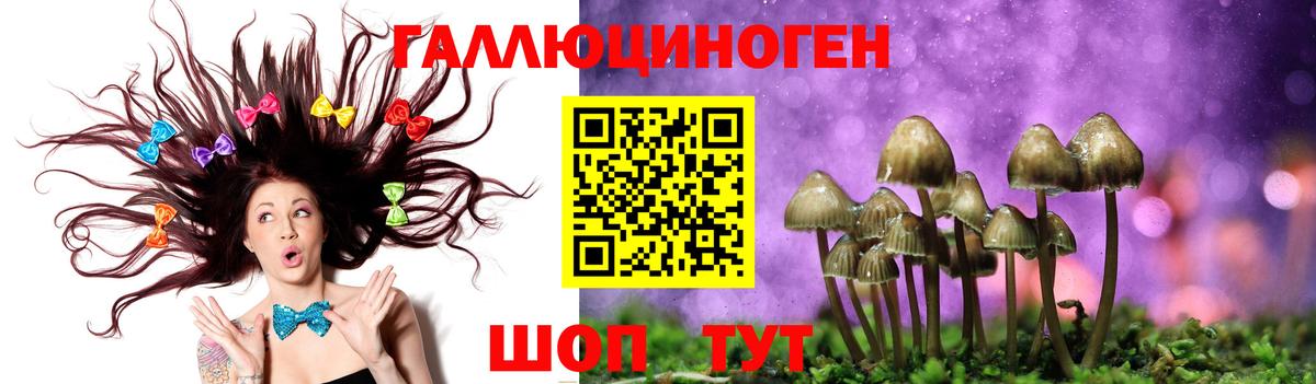 Галлюциногенные грибы Cubensis Назарово